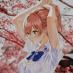 File:Vrml user cf925018-bba1-4f60-a06d-4f496235c12b.png
