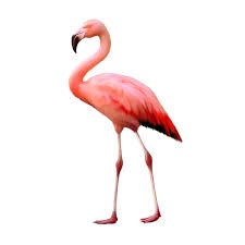 File:Vrml user 2dc5122a-8638-421f-99f1-e0d94542f16c.png