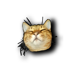 File:Vrml user 75f240c2-1e6a-4a4a-97be-0934be182c8a.png