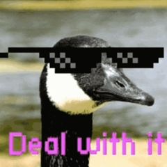 File:Vrml user deb9424d-c291-415b-b7ce-8f48009a9c50.png