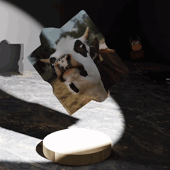 File:Vrml user e72ad2d0-dc6f-40ed-bf77-b0674283f8b9.png